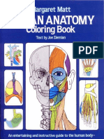 Human Anatomy Coloring Book