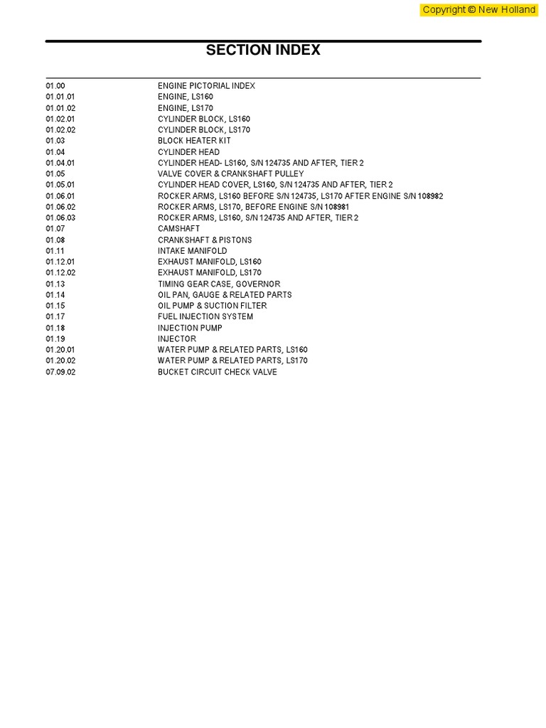 Engine PC LS160 LS170 1 EU PDF Engines Fuel Injection