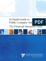 In-Depth Guide To Public Company Auditing:: The Financial Statement Audit