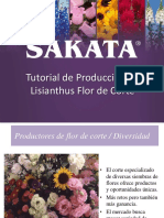 Tutorial-de-Produccion-de-Lisianthus-Flor-de-Corte-SAKATA-0818