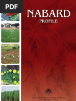 Download NABARD by upscvictim111 SN52774023 doc pdf