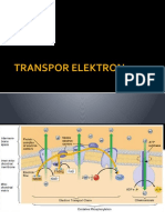 Transpor Elektron