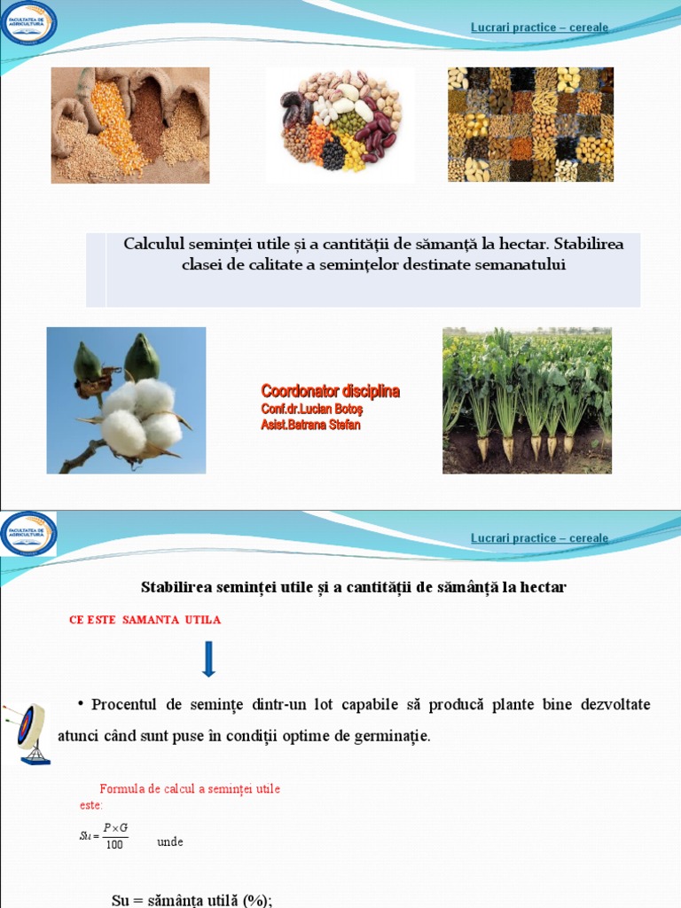 Sapt 2 - LP Calculul Semintei Utile Si A Normei | PDF