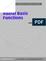 Radial Basis Functions - Theory and Implementations