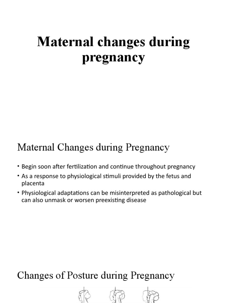 Physiological Changes During Pregnancy | PDF | Uterus | Adipose Tissue