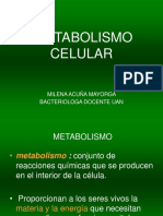 Metabolismo Celular