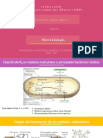 Interacción Suelo-Microorganismo-Planta