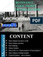 Micro Finance Companies-Money Lender or para Banker