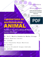 Reporte 2_Biotec Animal