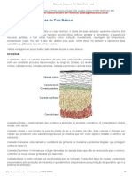 Estudando - Limpeza de Pele Básico - 2 Lição Pele