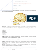 Estudando - Limpeza de Pele Básico - 4 Lição Ossos