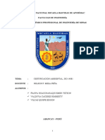 13certificacion Ambiental Iso PDF