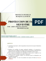 Protección Fauna Silvestre Proyecto Humea B