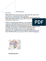 Plant Cell Structure and Functions