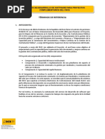 TDR Desarrollo Software V1