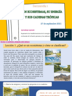 27.09.21 Lección 1. Los Ecosistemas, Su Energía y Cadenas Tróficas