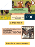 Herpesvirus equinos: Etiología, patogenicidad y control