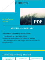 Benefits of Forests: By: Arfa Tanveer AKA Me:)