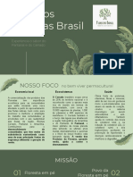 Produtos Florestais Do Brasil