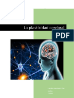 LH - Plasticidad Cerebral