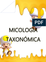 Micologìa Taxonòmica CARMEN