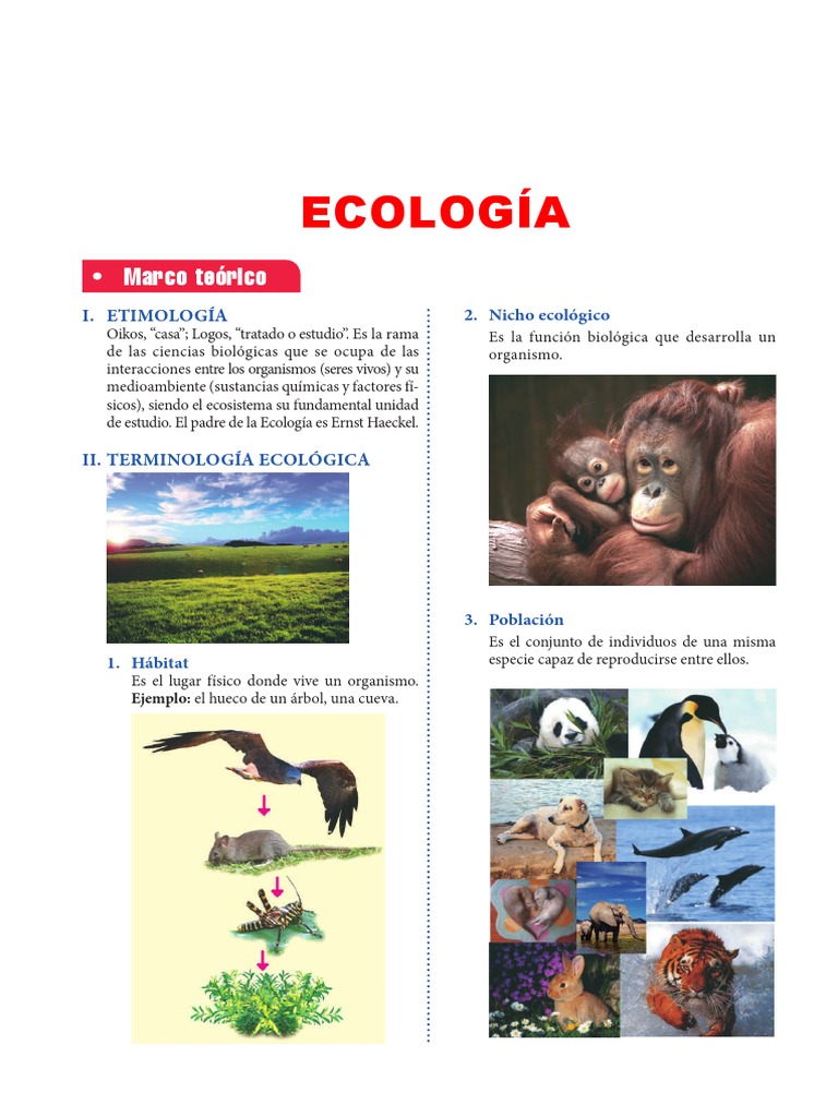 Ecología | PDF | Ecología | Ecosistema