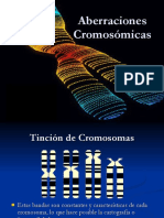 Alteraciones Cromosomicas