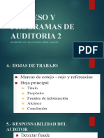 PROCESO Y PROGRAMAS DE AUDITORIA 2