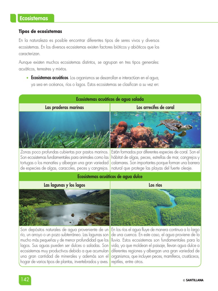 2.4 Tipos de Ecosistemas | PDF | Ecosistema | Suelo