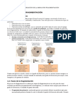 Teoría de La Fragmentación: 1.1. Aspectos Generales