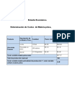 Estudio Economico Ejemplo