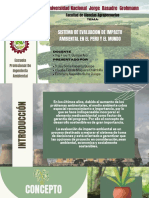 Sistema de Evaluacion de Impacto Ambiental en El Peru y El Mundo