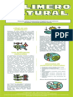 Polimeros Naturales y Sintéticos.