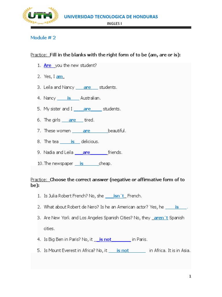 MODULE NO. 2 Homework Template Verb BE | PDF