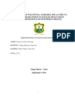 Rendimientos madera 3 tipos aserrío Tambopata