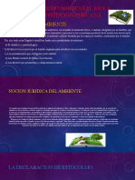 El DERECHO AMBIENTAL EN LA CONSTITUCION PERUANA