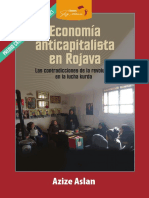 2021 - Economia Anticapitalista en Rojava