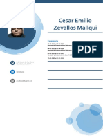 CV Cesar Emilio Zevallos Mallqui Asesor Comercial Fundet 2021