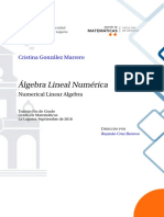 Algebra Lineal Numerica
