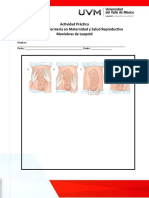 Actividad Maniobras de Leopold