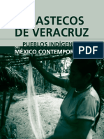 A7_HUASTECOS_DE_VERACRUZ (1)