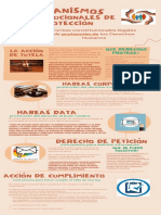 Infografia Mecanismos Constitucionales de Proteccion