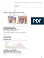 Quiz Sistema Endocrino 8°