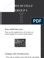 "Types of Cells": Group 4