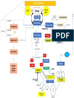 Vias Metabolicas