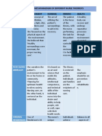 PROJECT 1 - The 4 Metaparadigms in Comparison With The Different Theoriest