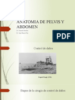 Anatomia de Pelvis y Abdomen