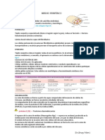 NERVIO PERIFÉRICO: Estructura y respuesta a lesiones