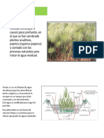 Agricultura Orgánica