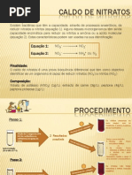 Caldo de Nitratos